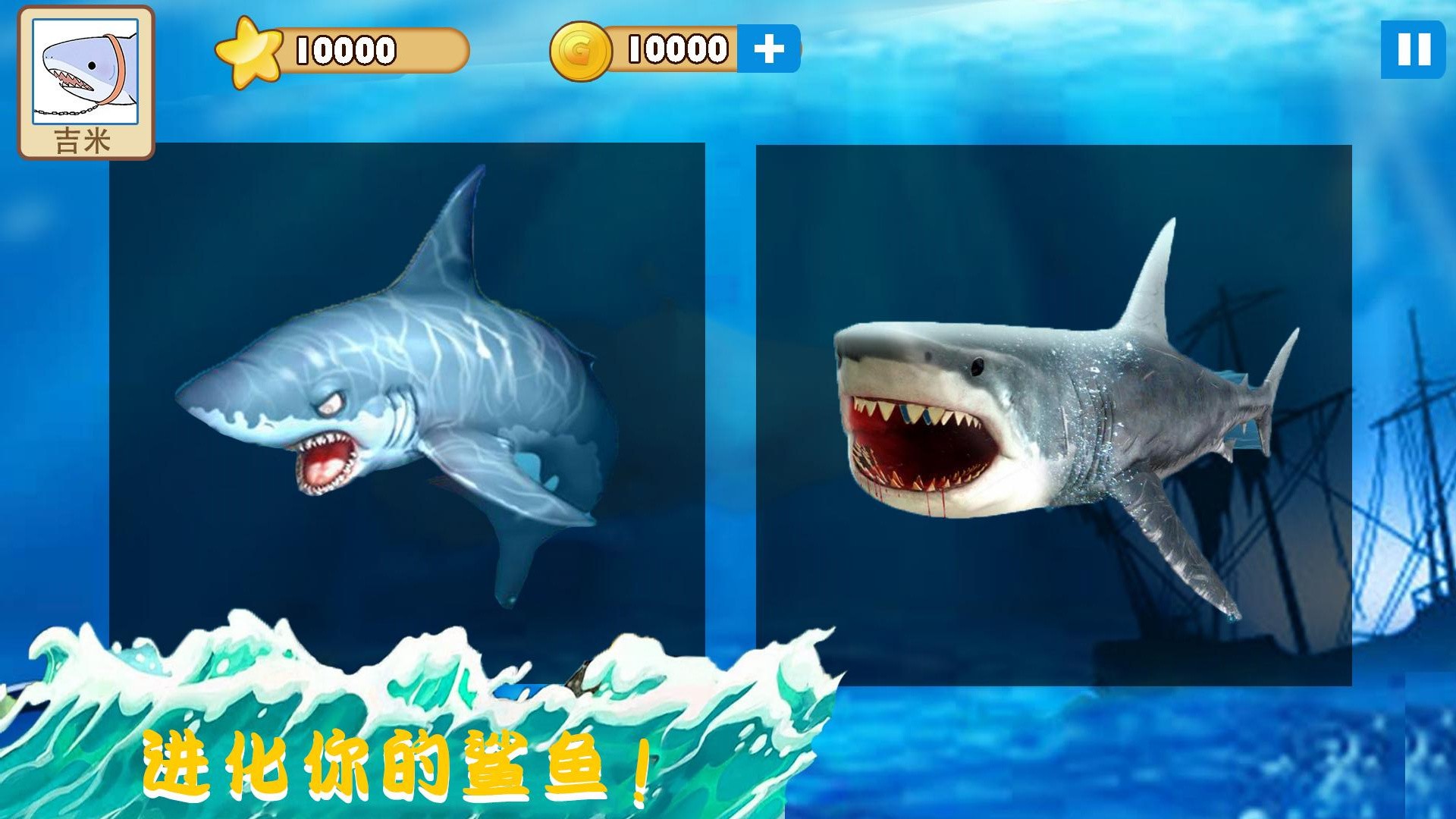 大白鲨真实模拟截图(2)