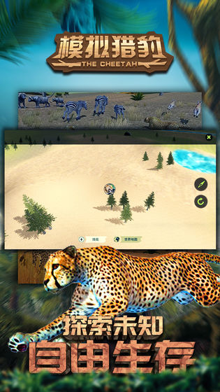 模拟猎豹截图(2)