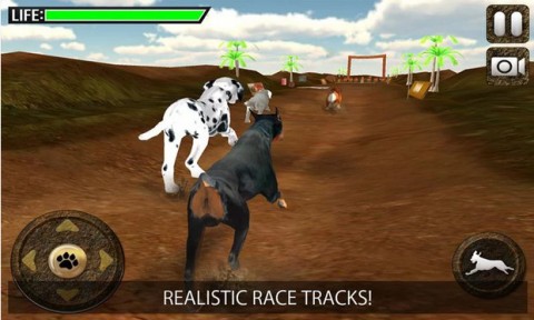 Greyhound Dog Racing 3D截图(1)