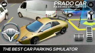 小车停车模拟截图(1)