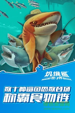 饥饿鲨世界3D中文汉化修改版截图(4)