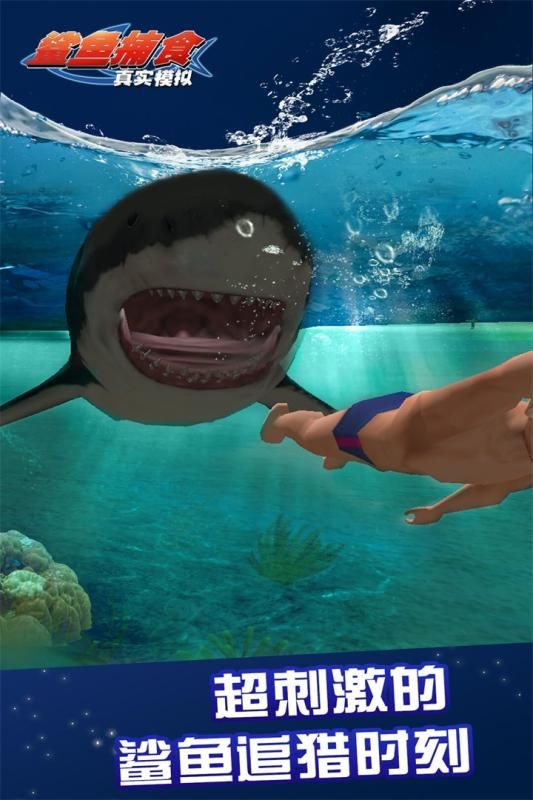 真实模拟鲨鱼捕食截图(1)