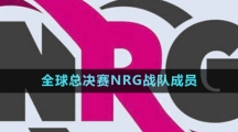 《英雄联盟》S13全球总决赛NRG战队成员