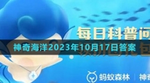 《支付宝》神奇海洋2023年10月17日答案