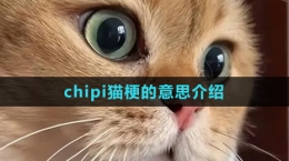 《抖音》chipi猫梗的意思介绍