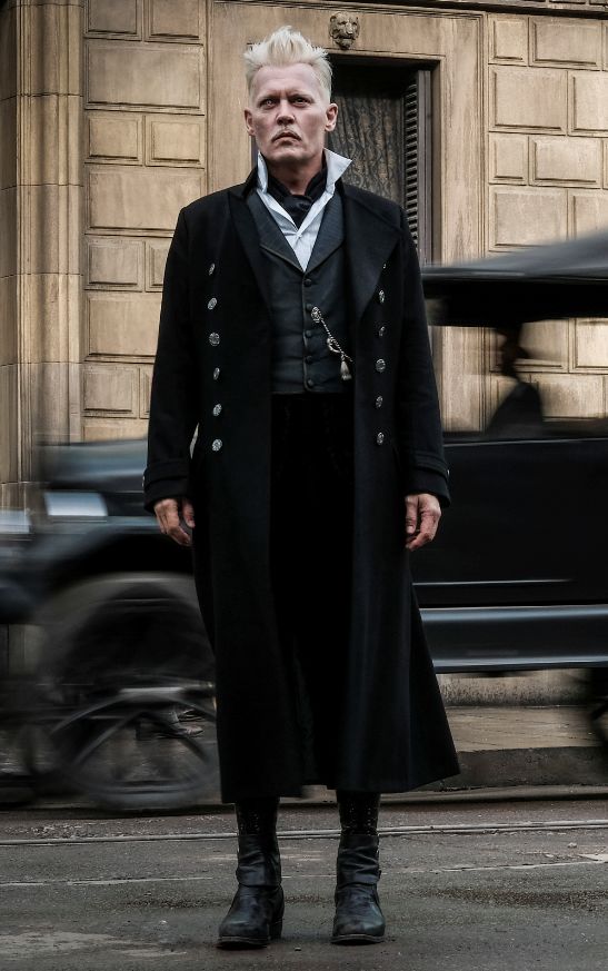 当盖勒特格林德沃打入美国魔法国会时，他的身份是什么