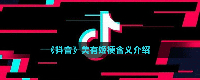 《抖音》美有姬梗含义介绍