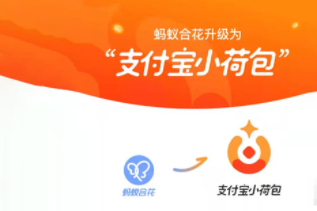 《支付宝》小荷包收益介绍