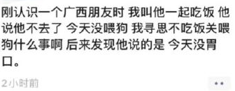 没喂狗梗出处含义介绍