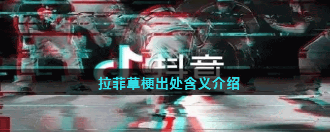 拉菲草梗出处含义介绍