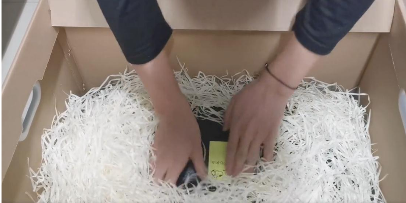 拉菲草梗出处含义介绍