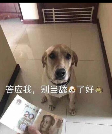 8424268梗出处含义介绍