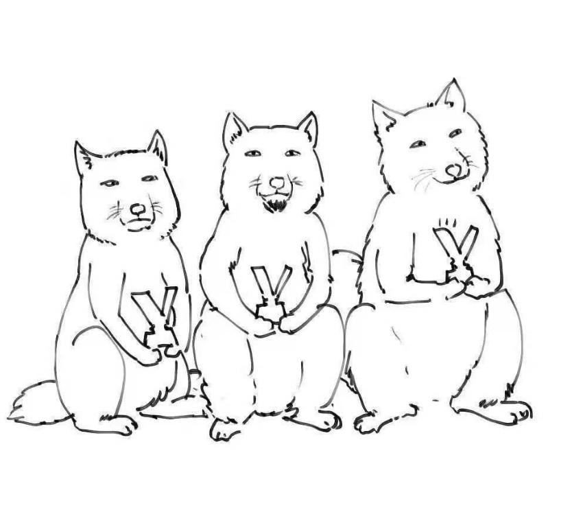 青丘三老梗出处含义介绍