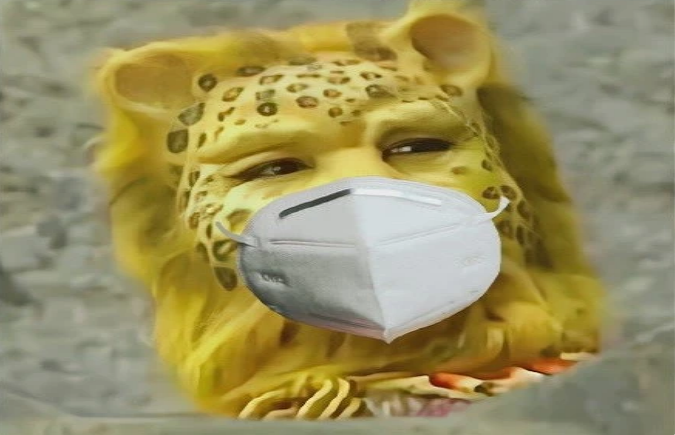 金钱豹戴口罩头像大全