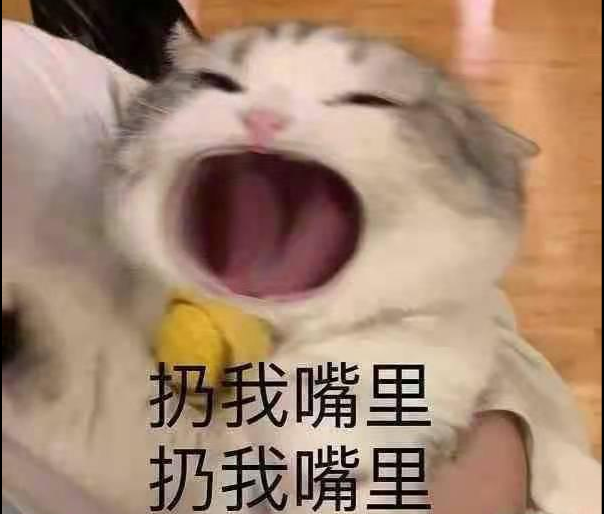 砂糖橘梗出处含义介绍