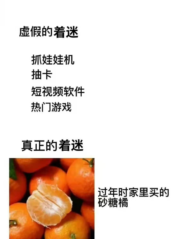 砂糖橘梗出处含义介绍