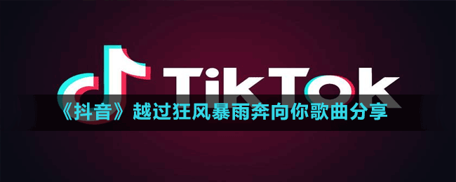 《抖音》越过狂风暴雨奔向你歌曲分享