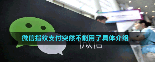微信指纹支付突然不能用了具体介绍