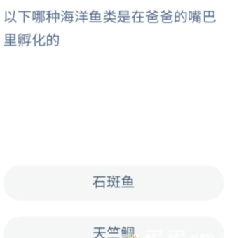 《支付宝》神奇海洋9月30日答案分享