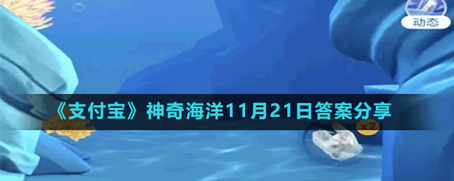 《支付宝》神奇海洋11月21日答案分享