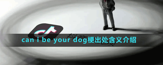 can i be your dog梗出处含义介绍