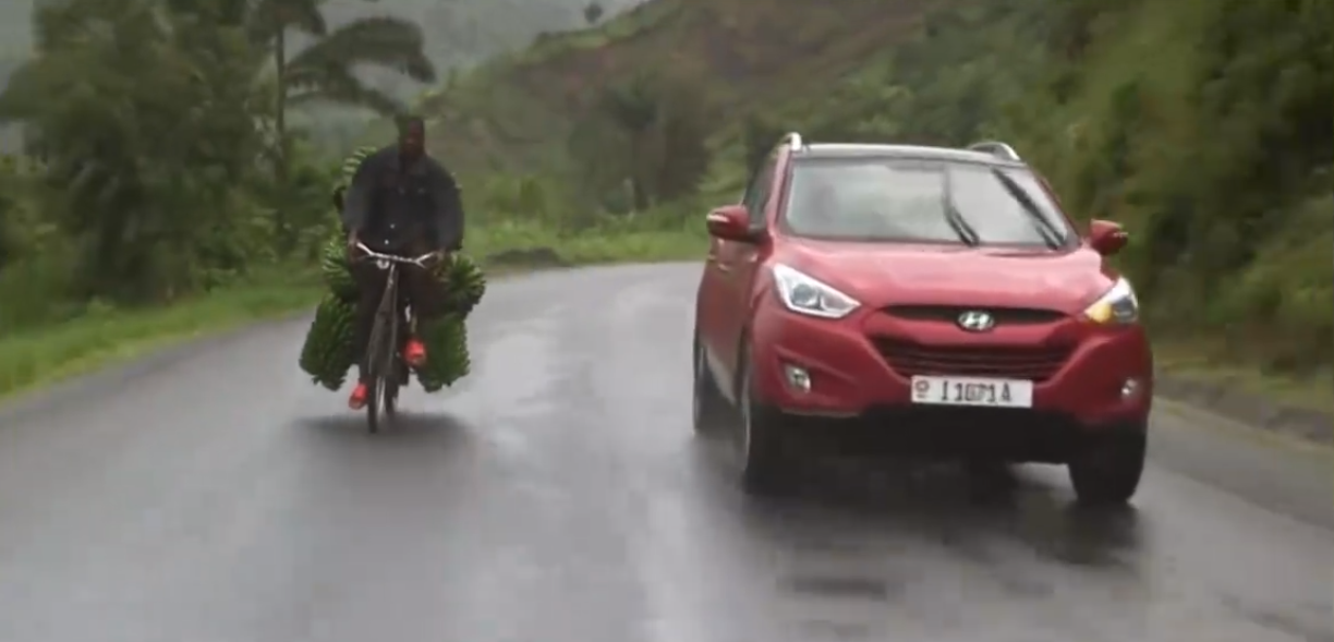 命运蕉响曲梗出处含义介绍