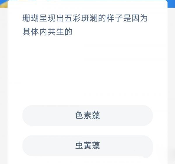 《支付宝》神奇海洋2月15日答案分享