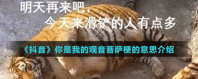 《抖音》你是我的观音菩萨梗的意思介绍