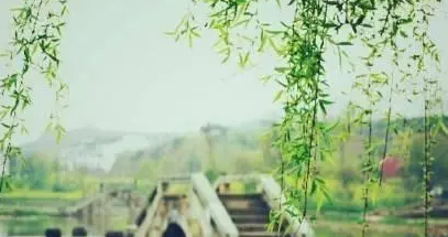 《支付宝》蚂蚁庄园2023年3月9日每日一题答案（2）