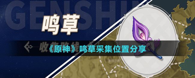 《原神》鸣草采集位置分享