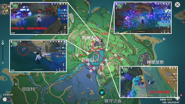 《原神》鸣草采集位置分享