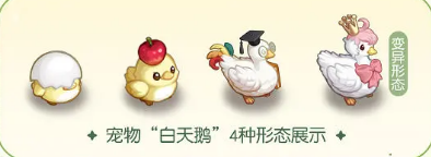 《奥比岛梦想国度》宠物蛋孵化方法