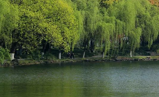 《支付宝》蚂蚁庄园2023年3月16日每日一题