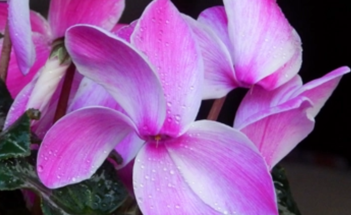 《支付宝》蚂蚁庄园2023年3月18日每日一题答案（2）