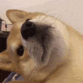 《抖音》这次换我来为你付出梗的意思介绍