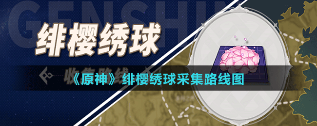 《原神》绯樱绣球采集路线图