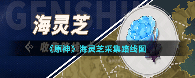 《原神》海灵芝采集路线图
