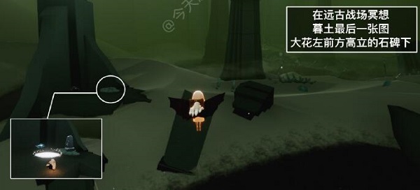 《光遇》5月11日每日任务完成攻略