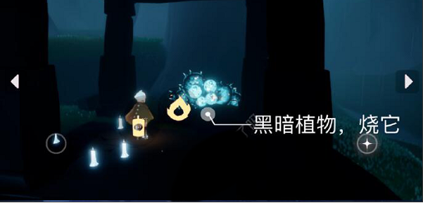 《光遇》5月17日每日任务完成攻略