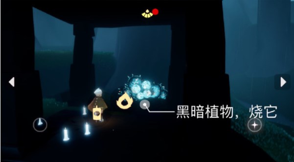 《光遇》5月19日每日任务完成攻略