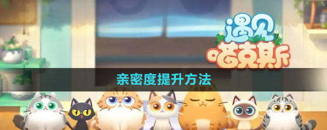 《遇见喵克斯》亲密度提升方法