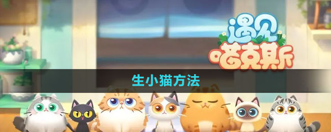 《遇见喵克斯》生小猫方法