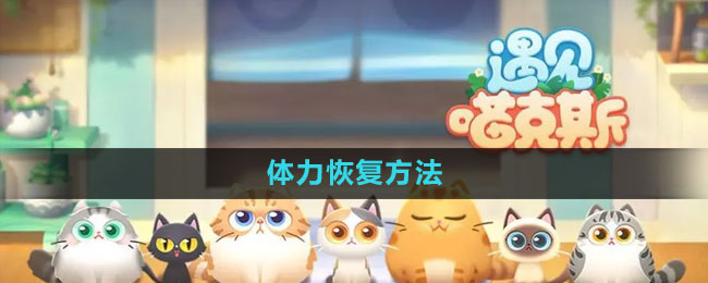 《遇见喵克斯》体力恢复方法