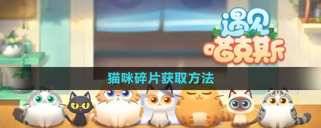 《遇见喵克斯》猫咪碎片获取方法