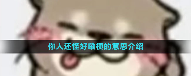 你人还怪好嘞梗的意思介绍