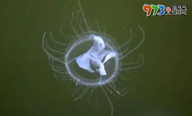 《支付宝》神奇海洋6月16日答案介绍