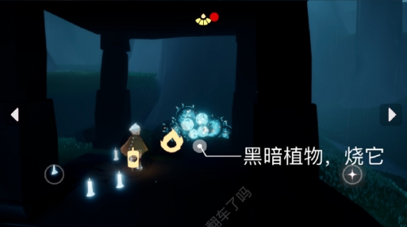 《光遇》6月28日每日任务完成攻略