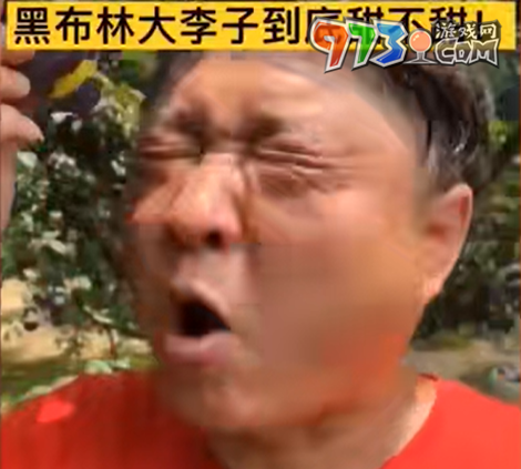 咬人事件梗的意思介绍