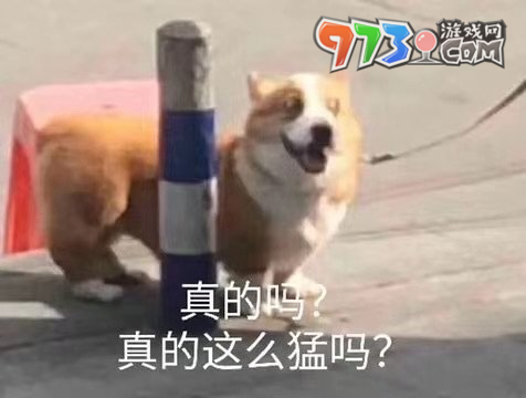 起猛了梗的意思介绍