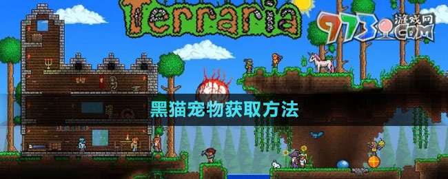 《泰拉瑞亚》国服黑猫宠物获取方法